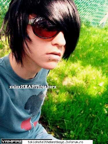 alex evans