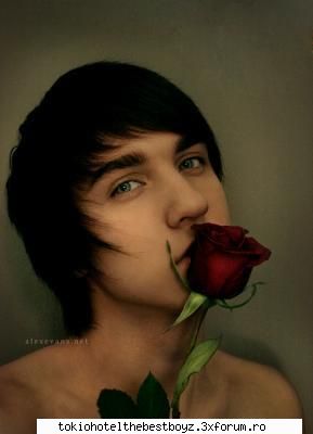alex evans