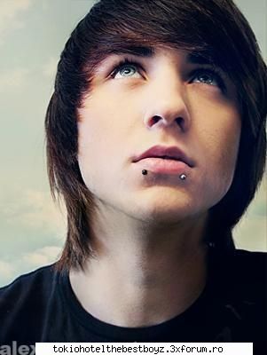 alex evans