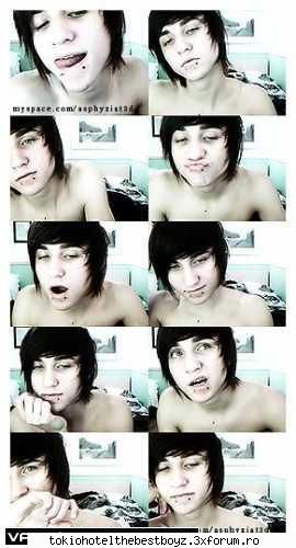 alex evans