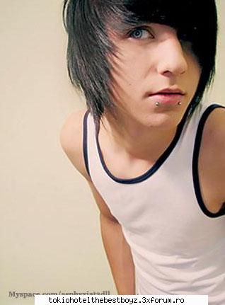alex evans