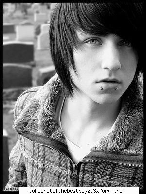 alex evans