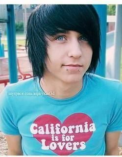 alex evans