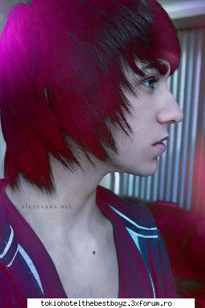 alex evans