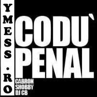 :nebun: codu` penal